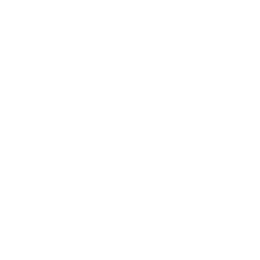 PLUT STORE
