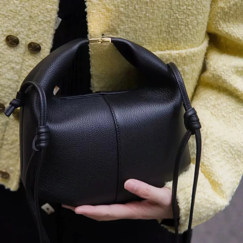 pol bento bag french poliimon niche leather new one shoulder crossbody commuter handbag dumpling bag women