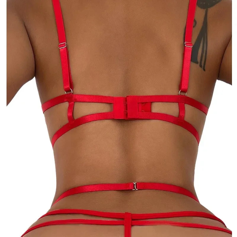 Lace Push‑Up Bra & Garter Lingerie Set